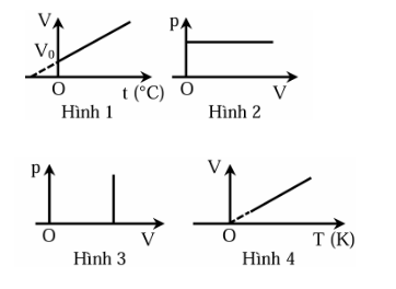 1745291720_6067ccf7da9bbdf64f465961d7856aa1.png