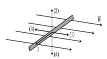 1745808125_85015d31f5a8691f354d6fb96d5670f4.png 1745808125_85015d31f5a8691f354d6fb96d5670f4.png