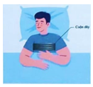 1745915170_271ea116a4f89431938d69a6b2eda61d.png