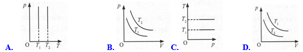 1746605535_6ebaab6fe53a03d000d6ffd6374f2351.png
