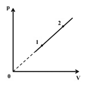 1746605572_4bb15d4b8ae1713ef9c5bdee6cabc133.png