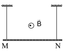 1746800429_783763fa66ad163c378c4fd5ddf4fb97.png