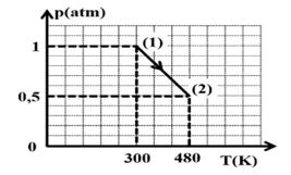 1747280923_71164f200a7522377988ae9dc2552ed9.png