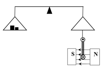 1747297208_446cab1a1ca52b0e2acae0c39d1a2d2e.png