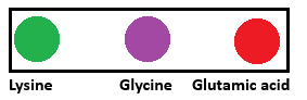1747452172_83030f2ff85a7df67f459c616ccc12ac.png