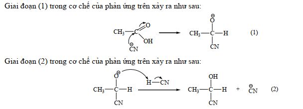 1747463857_3ca13191d4b0028b8b65622245b25541.png