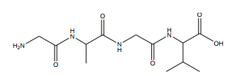 1747463889_1d8e92939b254c496aa8c339bafd03ab.png