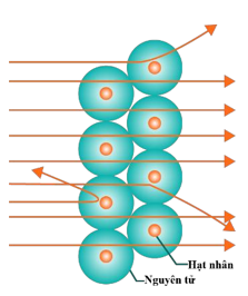 1747529906_759348d8ec4510899e22e3896df1d186.png