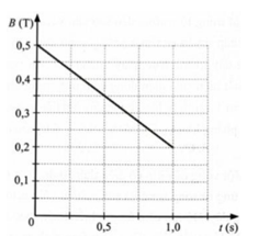 1747529975_f30f607d9e02fb533c5240fe8ce066a2.png