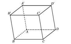 1747649002_65d5811d748325ba1a53a42ab4bc42b2.png