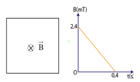 1747724620_2b2b6032b3bf33ffc613173ef721b63d.png