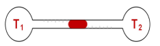 1747726823_b165f899fa2bb3f787dc2d098802025b.png