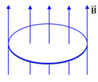 1747726882_e5d33cb4516fbd27ecb204cfd4dc7c07.png