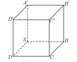 1747903824_edf0498266259992b5437dd47183e603.png