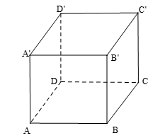 1748919934_c8bca5536bf572c7e1c3470cae857e61.png