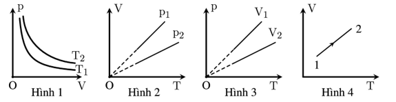 1748965168_89ab9cb40cde630fd228b6593266ea79.png