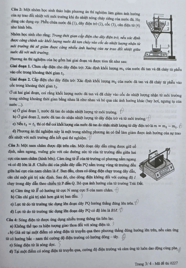 1750996871_99f801f019d32fddeaad450bd932326f.png